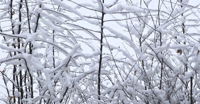 Superbe mais &eacute;ph&eacute;m&egrave;re donc inutile 🤣