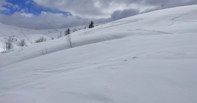 Le coup de blanc hebdomadaire, minimaliste 