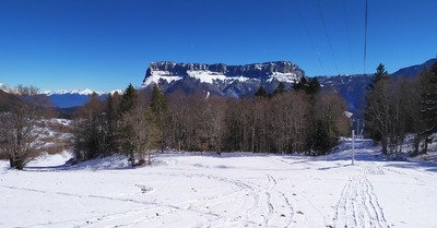 comme une envie de chartreuse, est ce bien raisonnable&nbsp;?