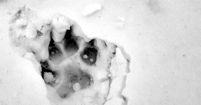 un 9 mars, l'envers du d&eacute;cor => top paysages 🤩👍