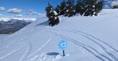 Gr&eacute;oli&egrave;res : j'te J&eacute;ru que c'est vachement bon