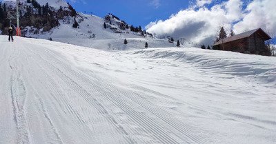 On s'en tire pas trop mal