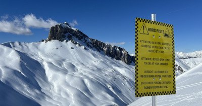 Printemps bien content 🙂 