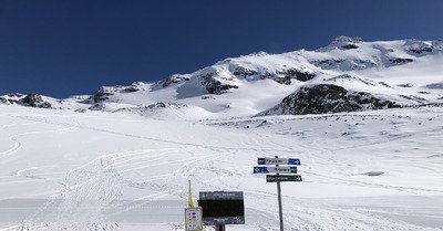 ambiance toute printani&egrave;re 🌞🪻🌷🪺