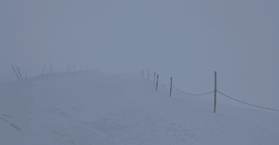 Pur&eacute;e de poix puis soleil😜