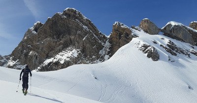 C'est un peu trop plus le printemps 