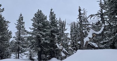 Une dizaine avec du vent 
