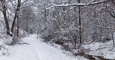 Jocou, 30 de fra&icirc;che, sans sous couche...
