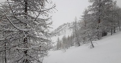 Grand soleil... &agrave; partir de 16h30 🌞😀