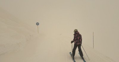 P&acirc;ques blanches ! Et jaunes &hellip;