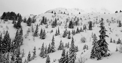 ☃️ Aaaah ❄️ Enfin ! 🌨️