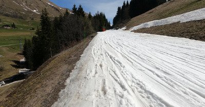 C'est l'&eacute;t&eacute; !