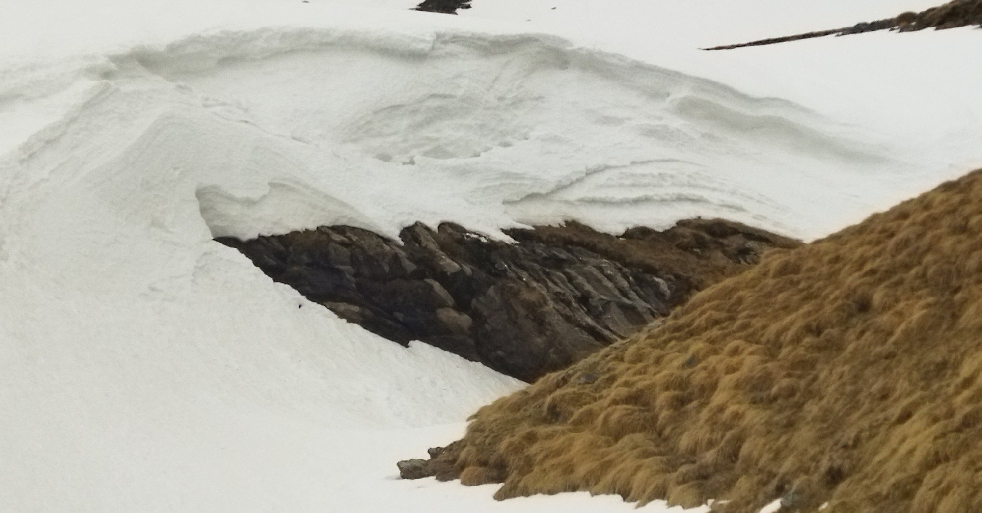 Ouf, il en reste &eth;, Hautes-Pyr&eacute;n&eacute;es le 7 avril 2024 par Oliver_64 (vid&eacute;o)