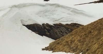 Ouf, il en reste 😌