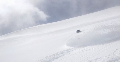 Gavage de l'ann&eacute;e &agrave; l'aiguille 