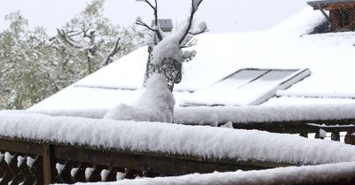Et pendant ce temps, &agrave; Vera Cruz&hellip;