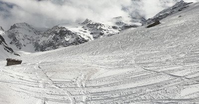Joli sursaut d'hiver 