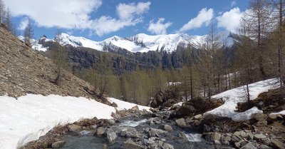 Chante Perdrix et cache cache avec le soleil 