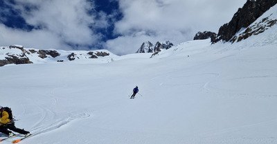 Merveille de moquette 