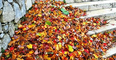 Col de Porte : pr&eacute;paration hivernale au top !