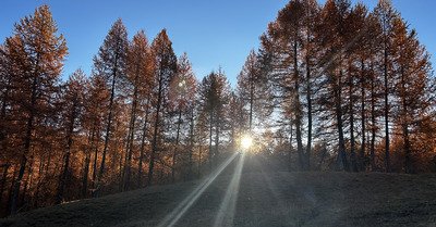 L&rsquo;&eacute;t&eacute; indien ? 🤔