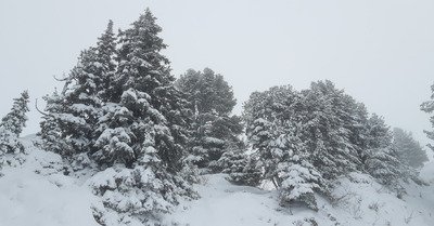 C'est &agrave; la fin de la foire...