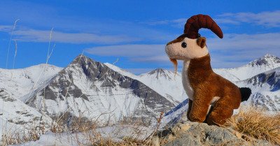 De la cro&ucirc;te....@Reallon