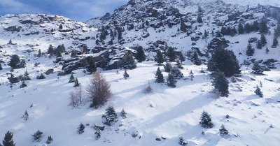 15 de fraiche pour qui le veut bien