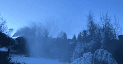 Promenade Dominicale au soleil