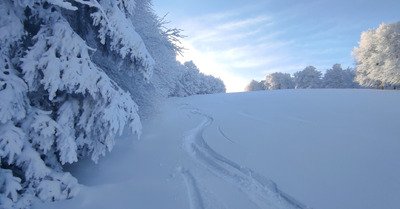 Dans les Vosges(la Bresse)c &eacute;tait des st&egrave;res de neige😂
