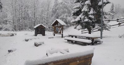 balade en foret nord belledonne