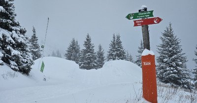 Le rendez-vous du jour. 