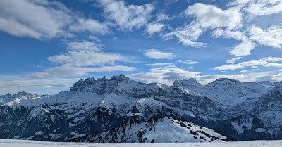Tout beau &agrave; Avo !