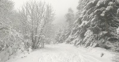 40 cm de poudre un poil lourde au Moucherotte 