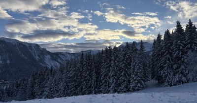 Y&rsquo;a personne !!!