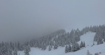 Journ&eacute;e hivernale 