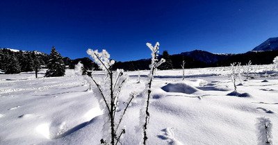 C'est ROYAL  ! Skating paillettes ! 👑 🤩