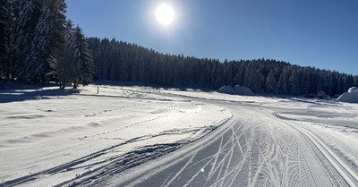 Paradis du Skating - Jour 2