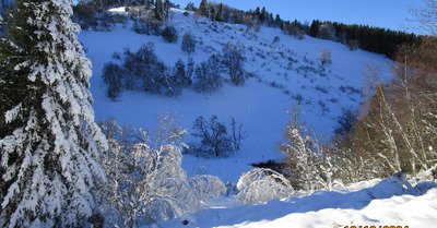 40cm sur secteur Haute-vall&eacute;e/Prabour&eacute; 