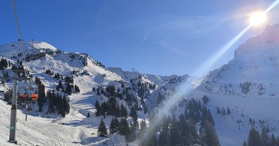 Avo en comit&eacute; r&eacute;duit 