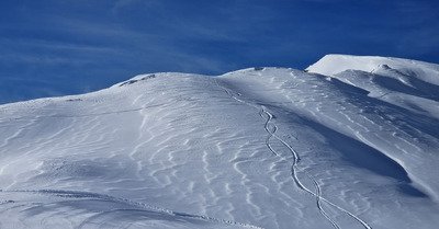 On a retrouv&eacute; notre chauffeur pr&eacute;f&eacute;r&eacute; 🌈
