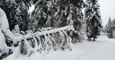 Week-end d'ouverture 