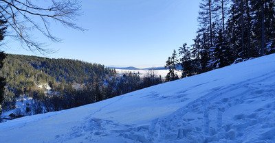 Prends en de la "graine Joe"