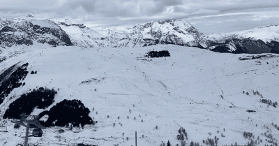 Un manteau neigeux en souffrance😱🫣
