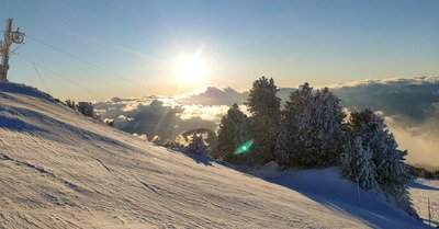Tr&egrave;s bon mais pas gavage 