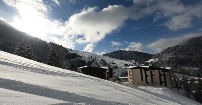 Du sucre sur tapis vert