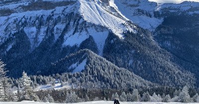 Chartreuse is where the heart is