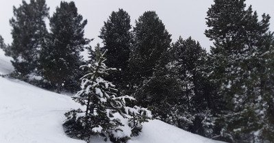 M&eacute;t&eacute;o compliqu&eacute;e 😱😱