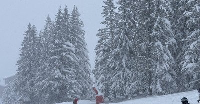 Qui a command&eacute; des Pizzas&nbsp;?