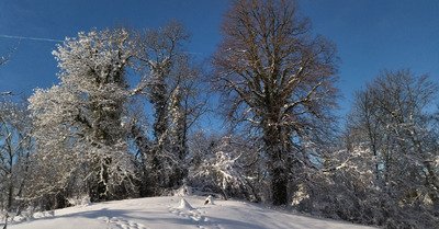 Le plateau sous la neige